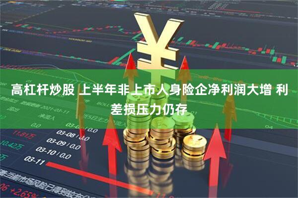 高杠杆炒股 上半年非上市人身险企净利润大增 利差损压力仍存